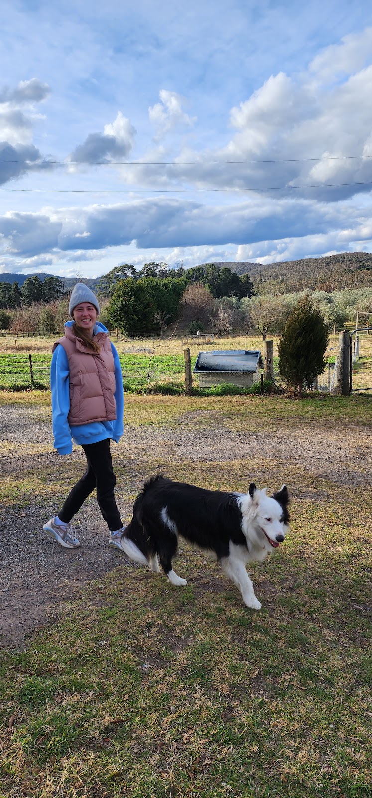 Hidden Valley Farms | 117 Mills Rd, Carrick NSW 2580, Australia | Phone: 0408 111 122