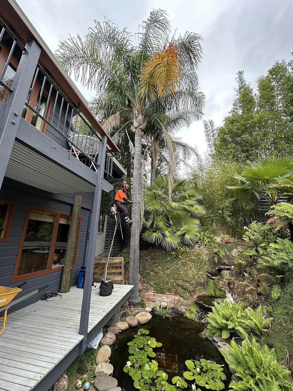James Godfrey Arborist Far South Coast | 65 Jellat Way, Kalaru NSW 2550, Australia | Phone: 0490 874 272