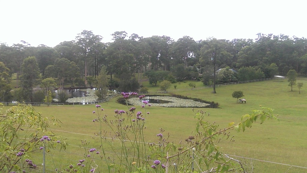 Lake Innes Nature Reserve | park | New South Wales, Australia