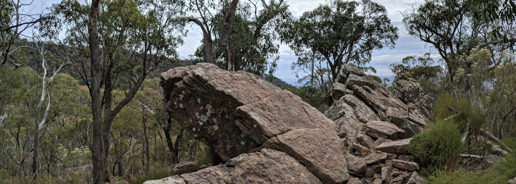 Neds Peak | Taggerty VIC 3714, Australia | Phone: 13 19 63