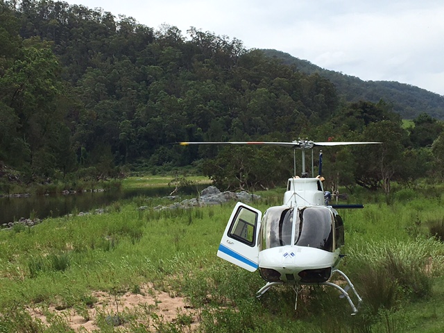 Helicopter Farm | lodging | Gradys Creek Rd, Loadstone NSW 2474, Australia | 0409334888 OR +61 409 334 888