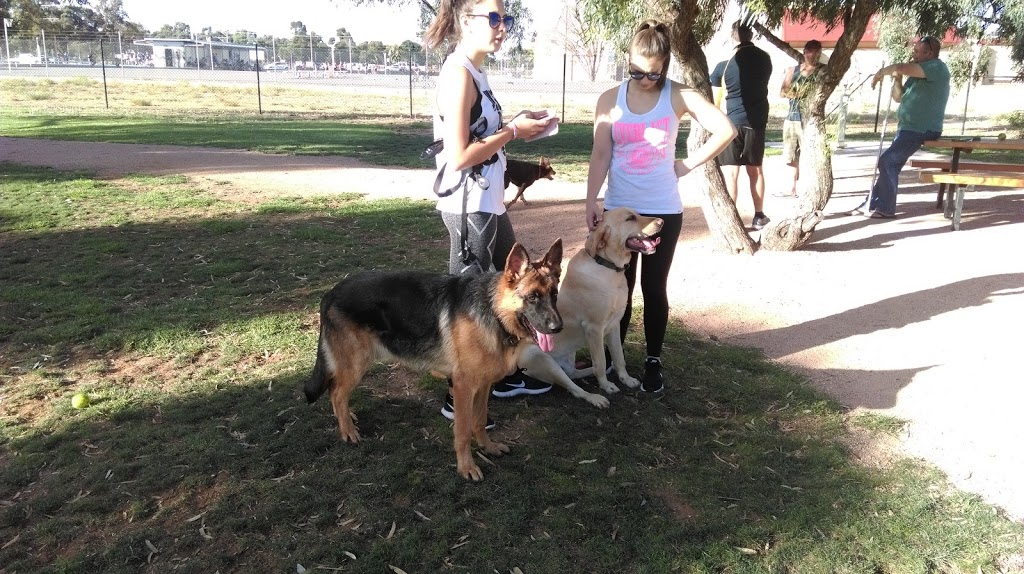 Renmark Dog Park | park | 11/19 Cook St, Renmark SA 5341, Australia