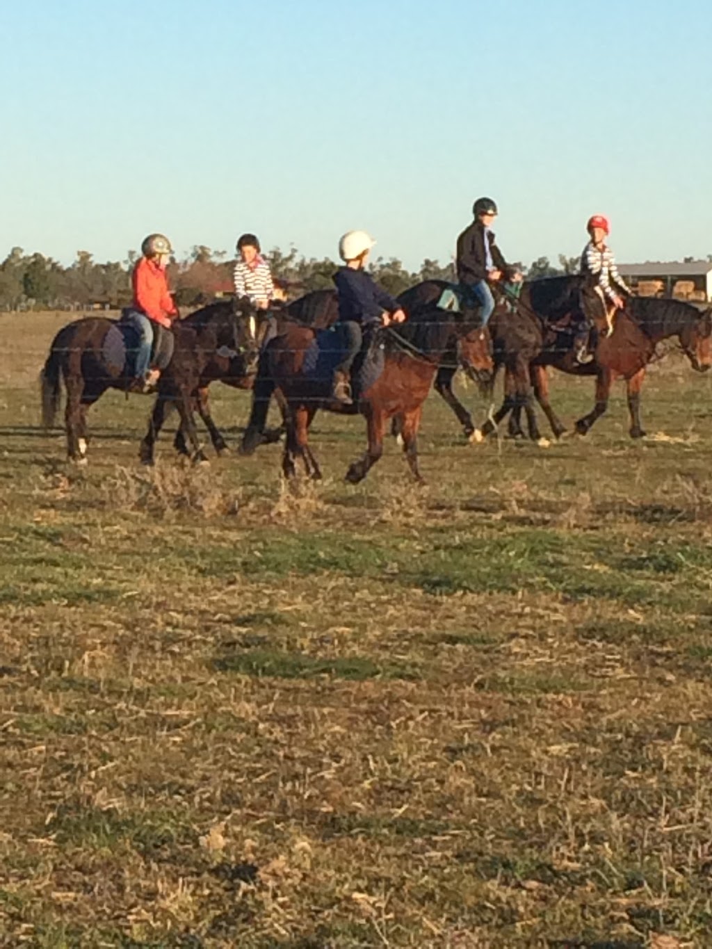 Sahara Park Riding School Forbes |  | 79 Amaroo Ln, Forbes NSW 2871, Australia | 0473509752 OR +61 473 509 752