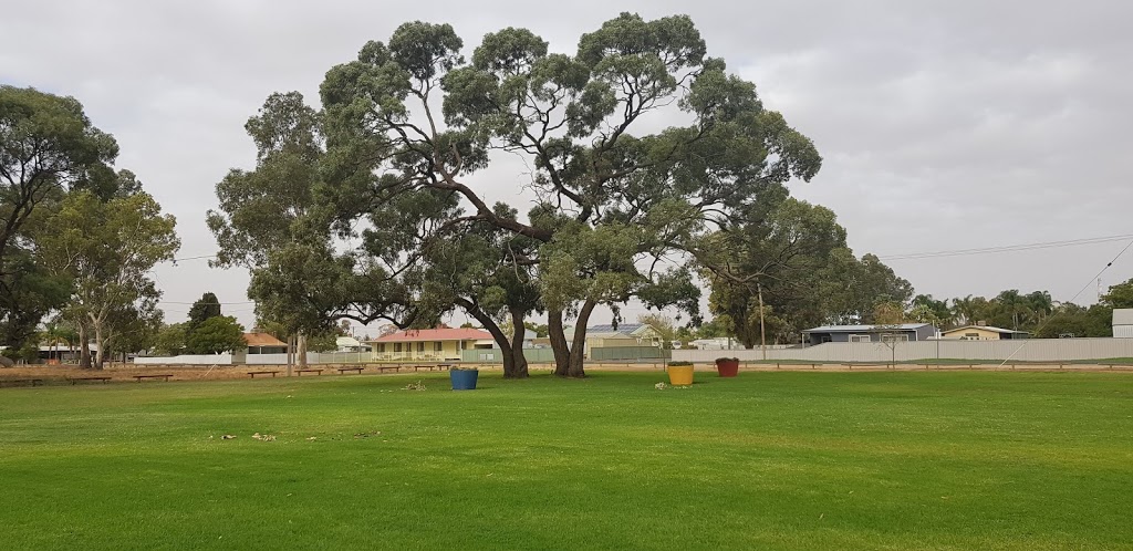 Balranald Lions Park | 182 Market St, Balranald NSW 2715, Australia | Phone: (03) 5020 1300