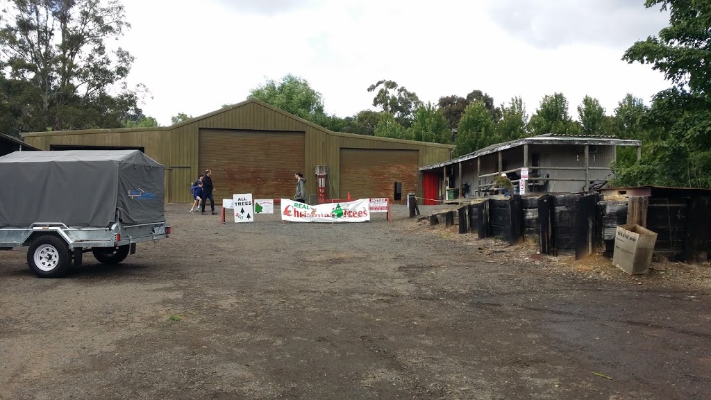 Yarra Valley Christmas Tree Farm | 290 Clegg Rd, Wandin North VIC 3139, Australia | Phone: (03) 5964 4777