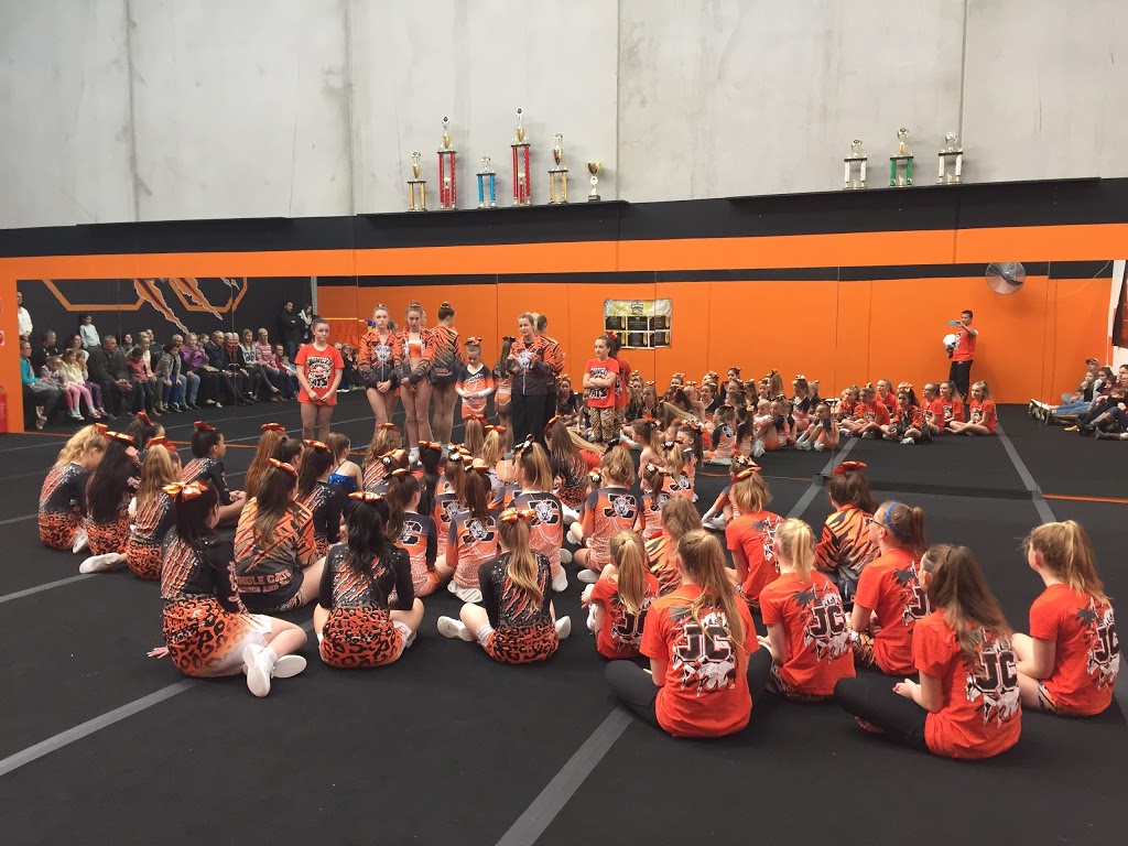 Jungle Cats Cheerleading, Aerobics and Dance | 25 Bayport Ct, Mornington VIC 3931, Australia | Phone: 0487 274 985