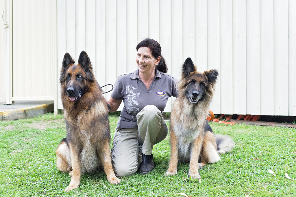 Animal Welfare League Qld | 6 Hooper St, West Ipswich QLD 4305, Australia | Phone: (07) 3059 7131