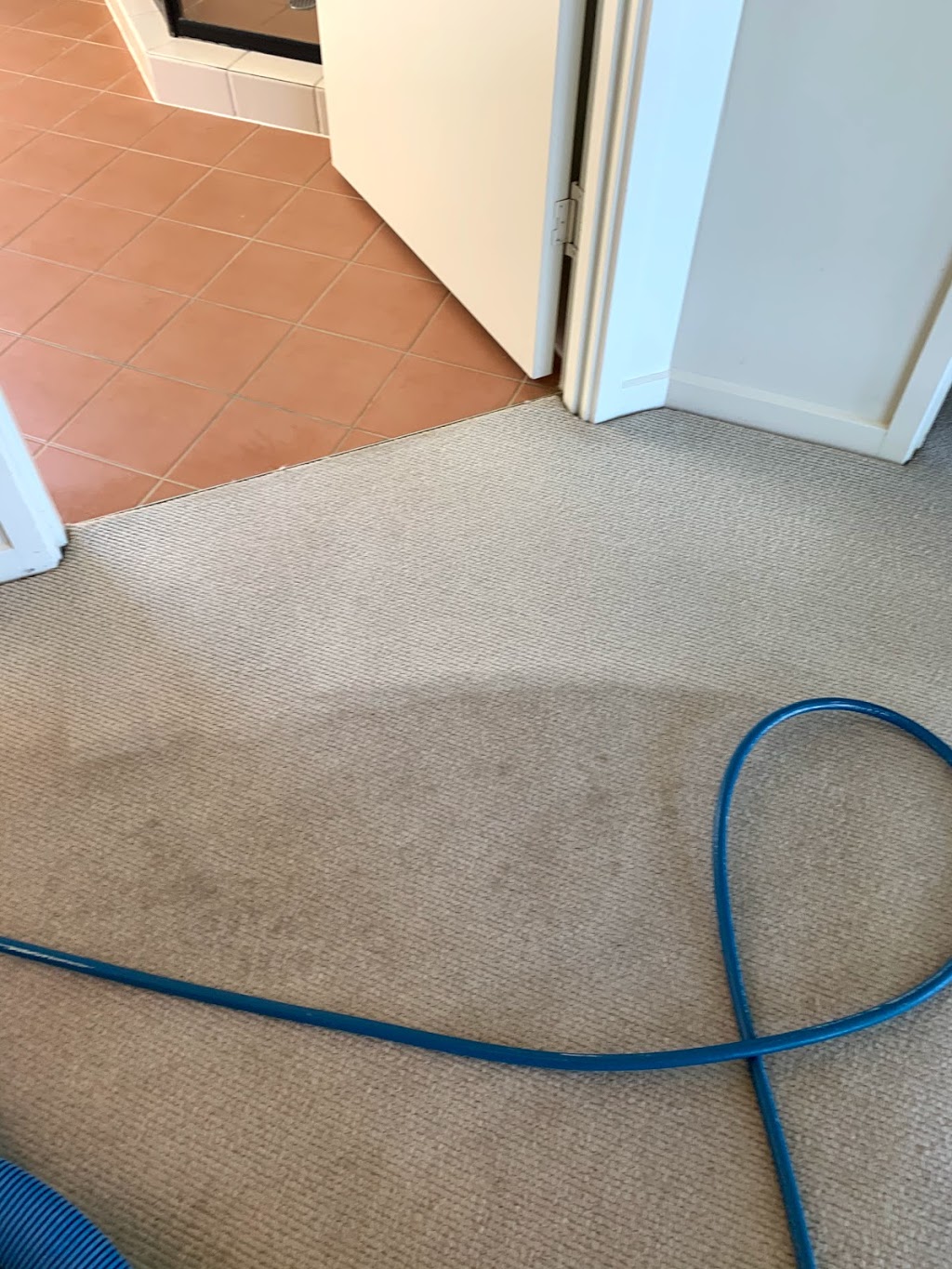 Care Carpet Cleaning & Pest Control | 1/34 Kingfisher Dr, Bli Bli QLD 4560, Australia | Phone: 0432 091 959