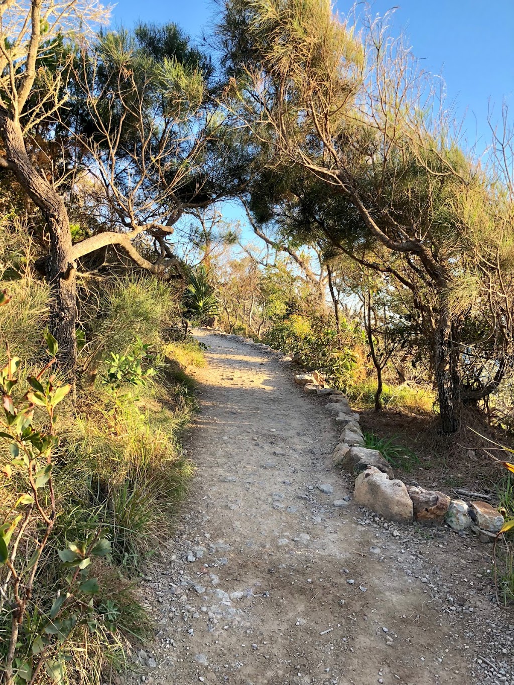 Dolphin Point Lookout | Coastal Walk, Noosa Heads QLD 4567, Australia | Phone: 13 74 68