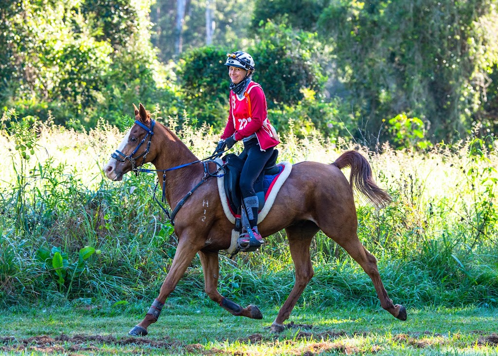 Nicker and Whinny Endurance Riding | 350 Grandview Rd, Pullenvale QLD 4069, Australia | Phone: 0401 060 012