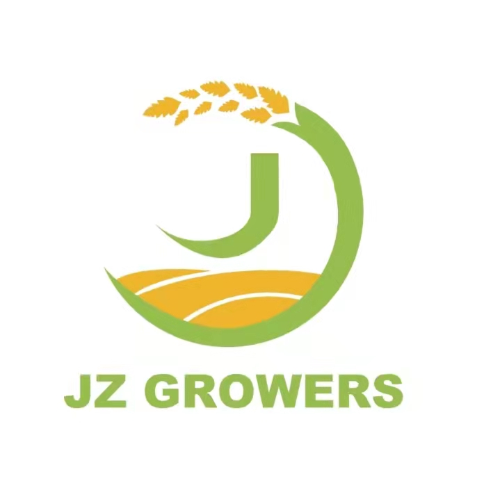 JZ Growers | 93-115 Armidale Rd, Willawarrin NSW 2440, Australia | Phone: 0412 678 777