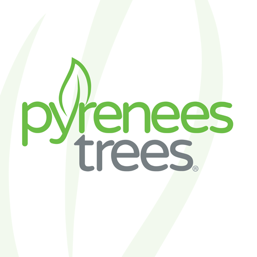 Pyrenees Trees |  | 376 Tullaroop Rd, Carisbrook VIC 3465, Australia | 0409517064 OR +61 409 517 064