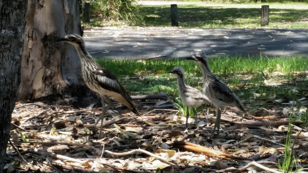 Environmental Park | park | Pottsville NSW 2489, Australia