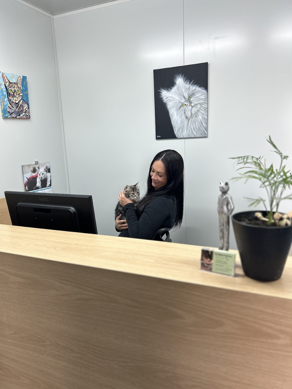 Cardinia Cattery | 200 Bladens Rd, Koo Wee Rup VIC 3981, Australia | Phone: 0499 453 847