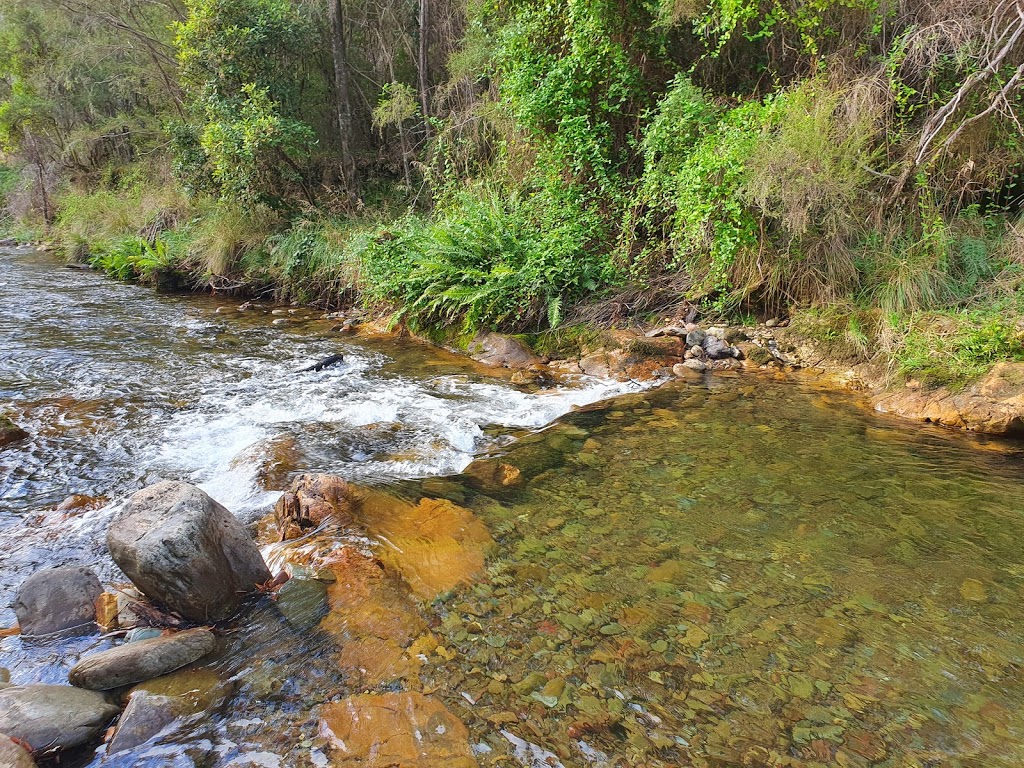 Swimming place | E Ovens Track, Harrietville VIC 3741, Australia