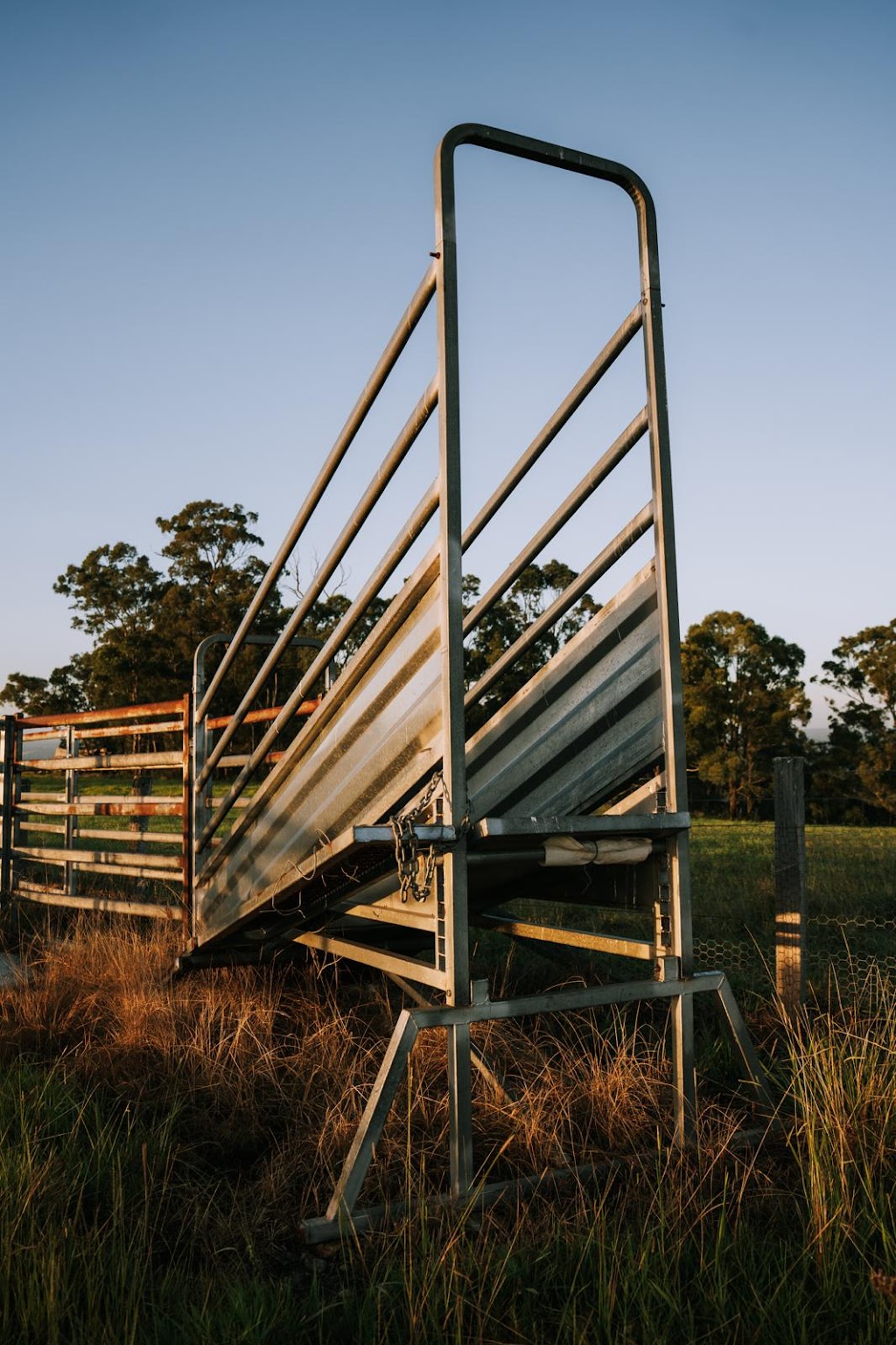 Westminster Acres | 11 Westminster Pl, Razorback NSW 2571, Australia | Phone: 1300 002 121