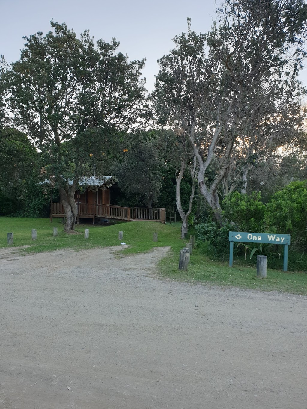 Angourie Picnic Area | Angourie Picnic Area Rd, Angourie NSW 2464, Australia