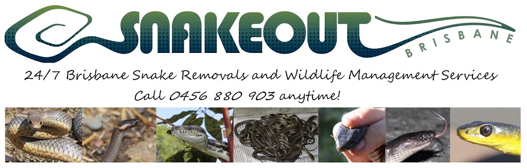 SnakeOut Snake Catchers Northside |  | 50 Gynther Ave, Brighton QLD 4017, Australia | 0474509503 OR +61 474 509 503