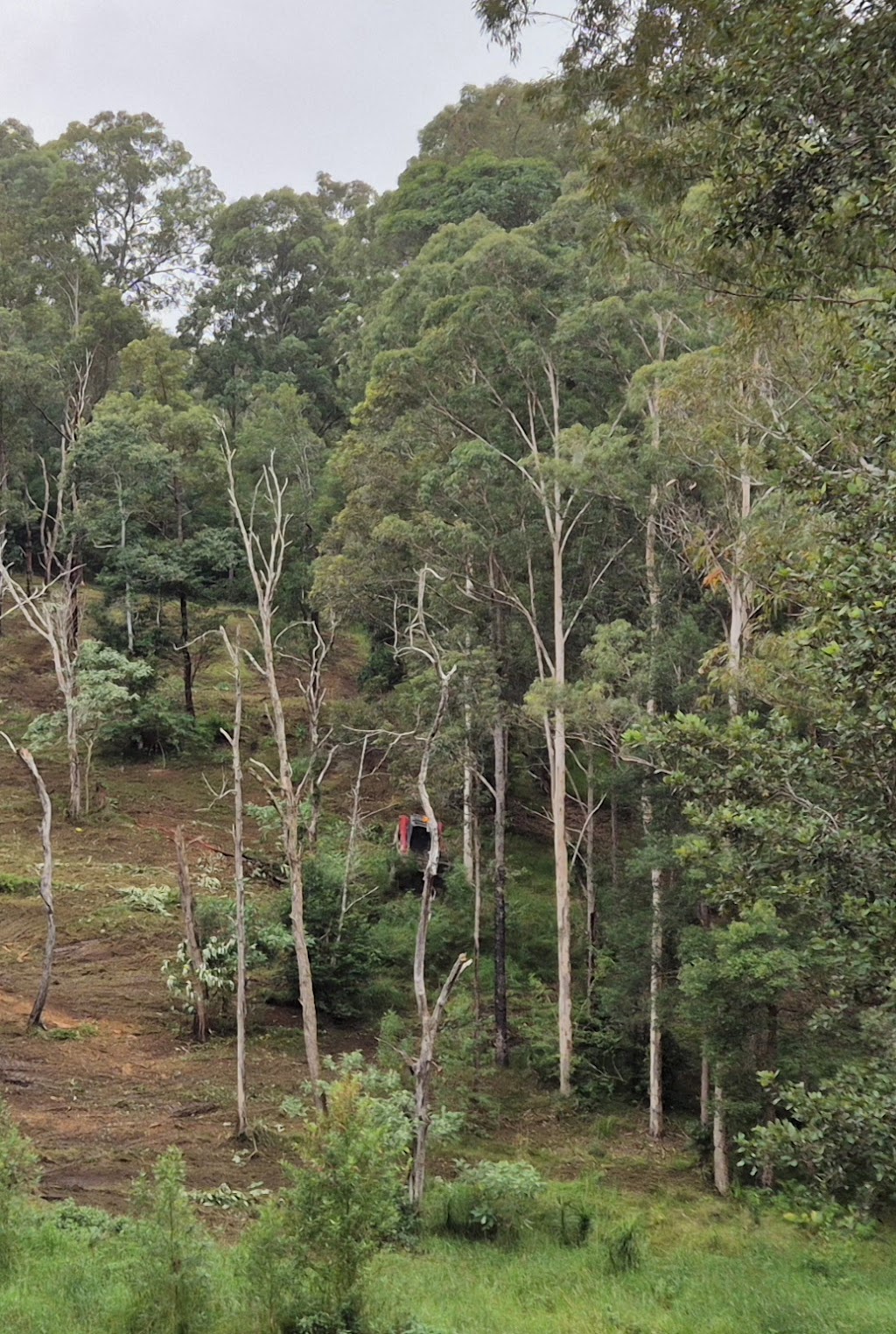 MidCoast Forestry Mulching | Old Bar Rd, Old Bar NSW 2430, Australia | Phone: 0418 164 089