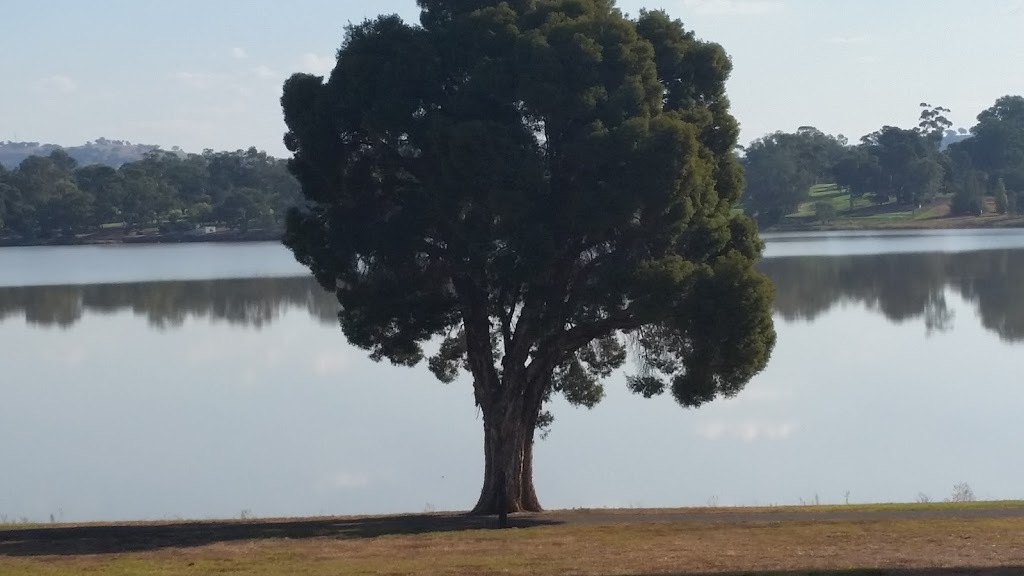 Ron Wheeler Park | park | Lake Albert NSW 2650, Australia