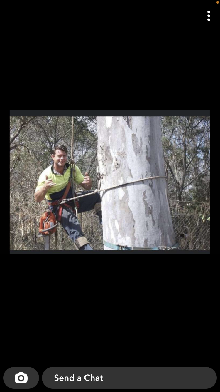 our tree service | 715 King St, Caboolture QLD 4510, Australia | Phone: 0435 445 878