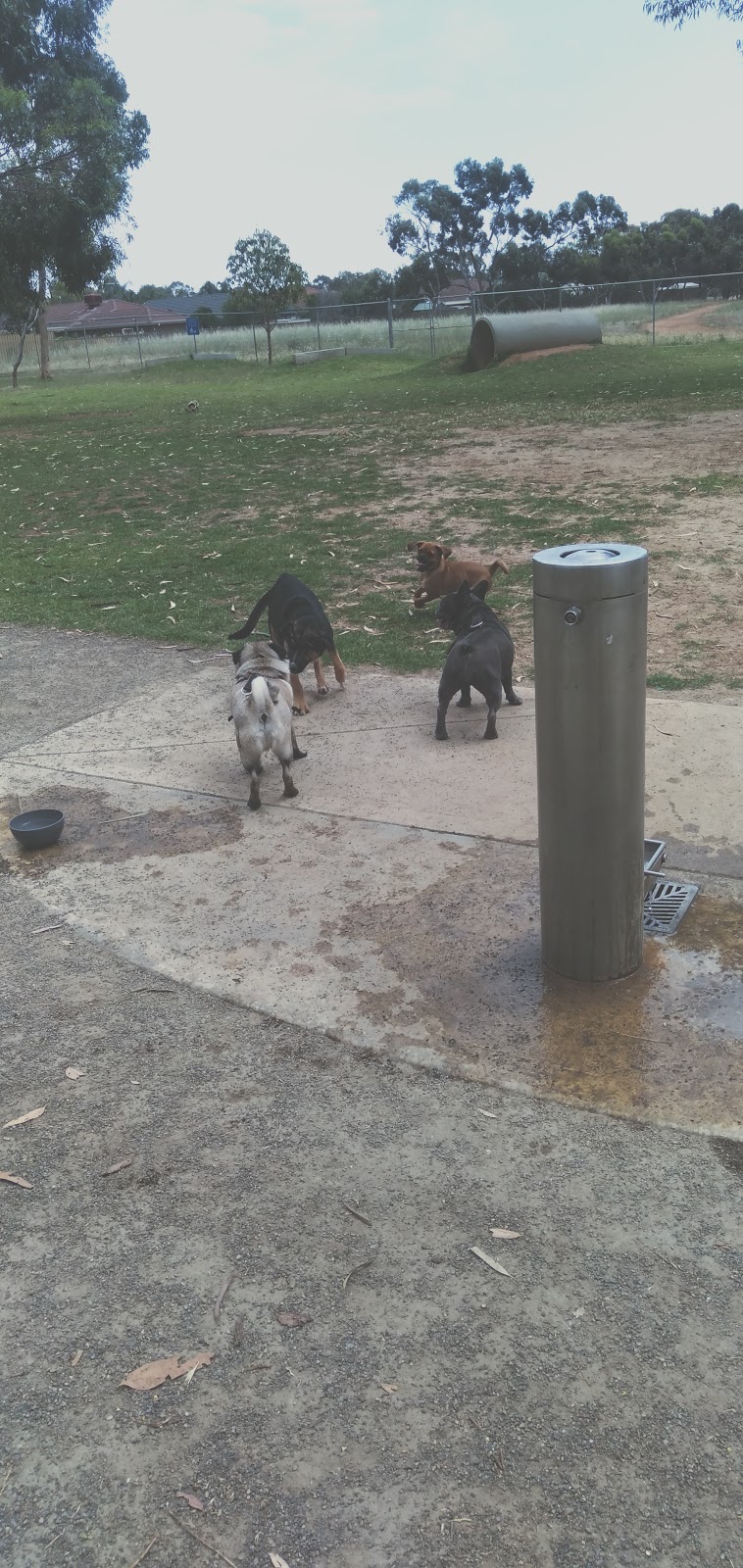 Stebonheath Park Dog Park | park | Andrews Farm SA 5114, Australia