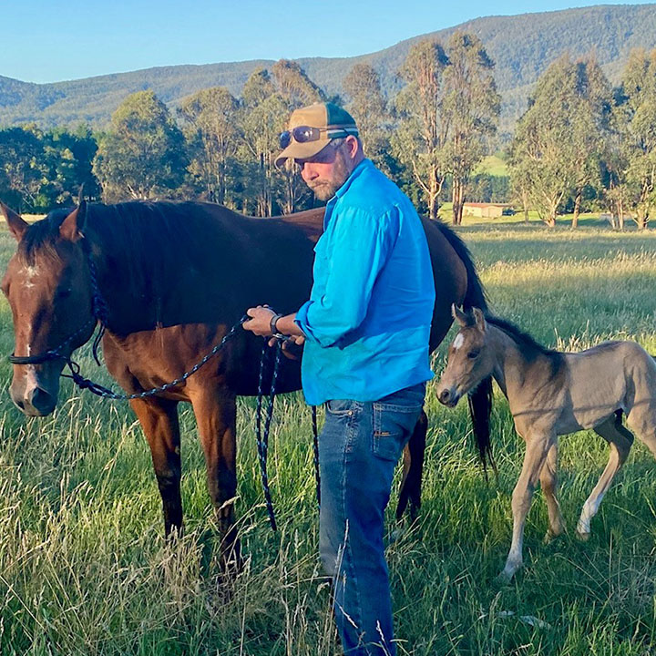 Mark Langley Horsemanship | 678 Happy Valley Rd, Rosewhite VIC 3737, Australia | Phone: 0417 200 411