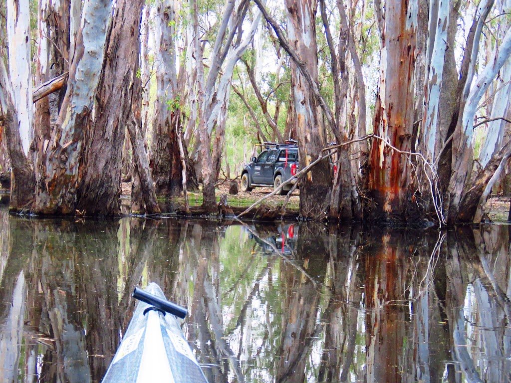 Sydney Harbour Kayaks Murray River Adventures (Cohuna, Vic) | 104 King Edward St, Cohuna VIC 3568, Australia | Phone: 0413 005 787