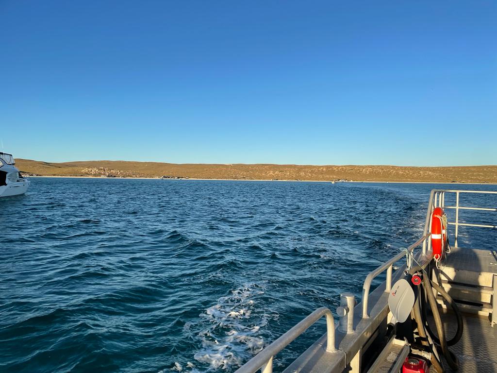 Shelter Bay campground | Useless Loop Rd, Carrarang WA 6537, Australia | Phone: (08) 9948 2226