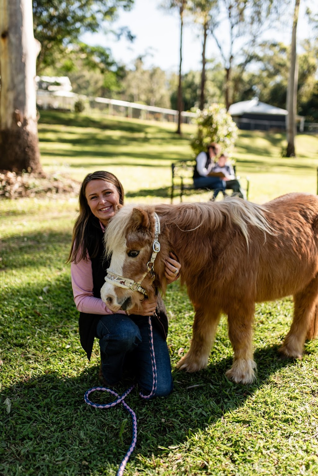 Gold Coast Equine Sanctuary | 25 Lanes Rd, Wongawallan QLD 4210, Australia | Phone: 0432 660 577
