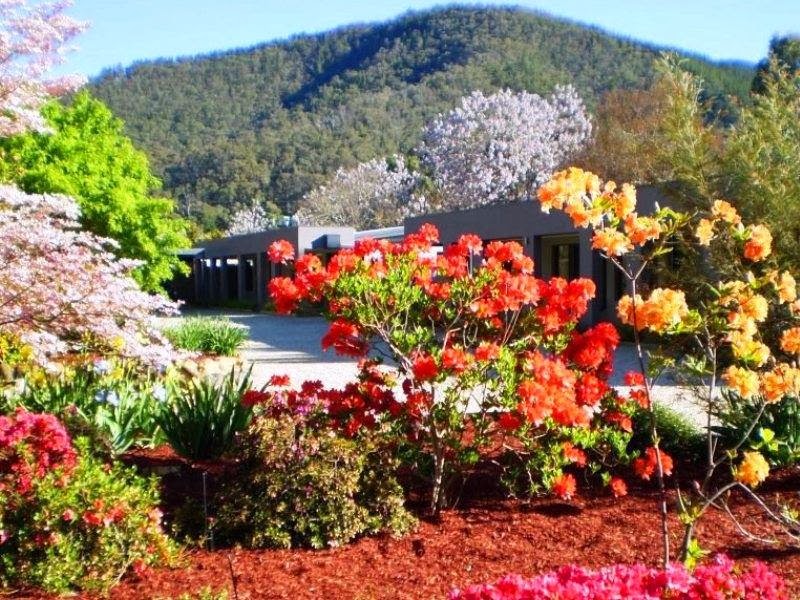 Grevillea Gardens | lodging | 4 Gavan St, Bright VIC 3741, Australia | 0357551375 OR +61 3 5755 1375