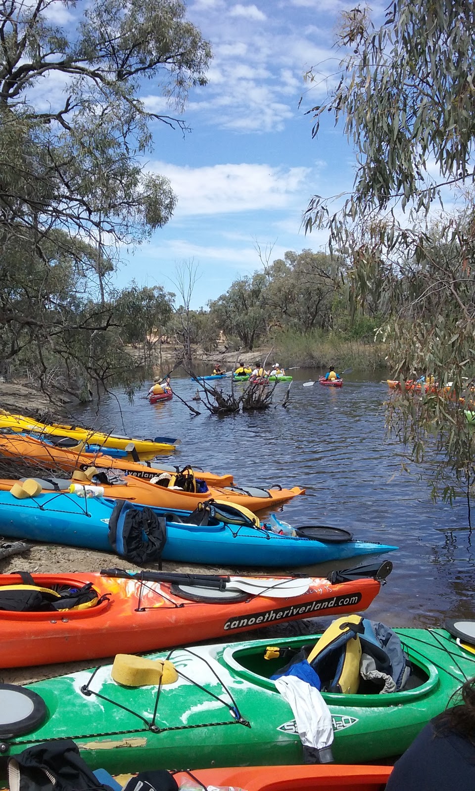 Canoe the Riverland - Renmark | campground | 835 Murtho Rd, Murtho SA 5340, Australia | 0475754222 OR +61 475 754 222
