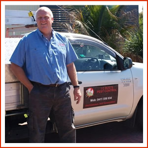 I C Bugs - Pest Control & Termite Management | home goods store | 2 Walnut Cl, Hamlyn Terrace NSW 2259, Australia | 0411556934 OR +61 411 556 934