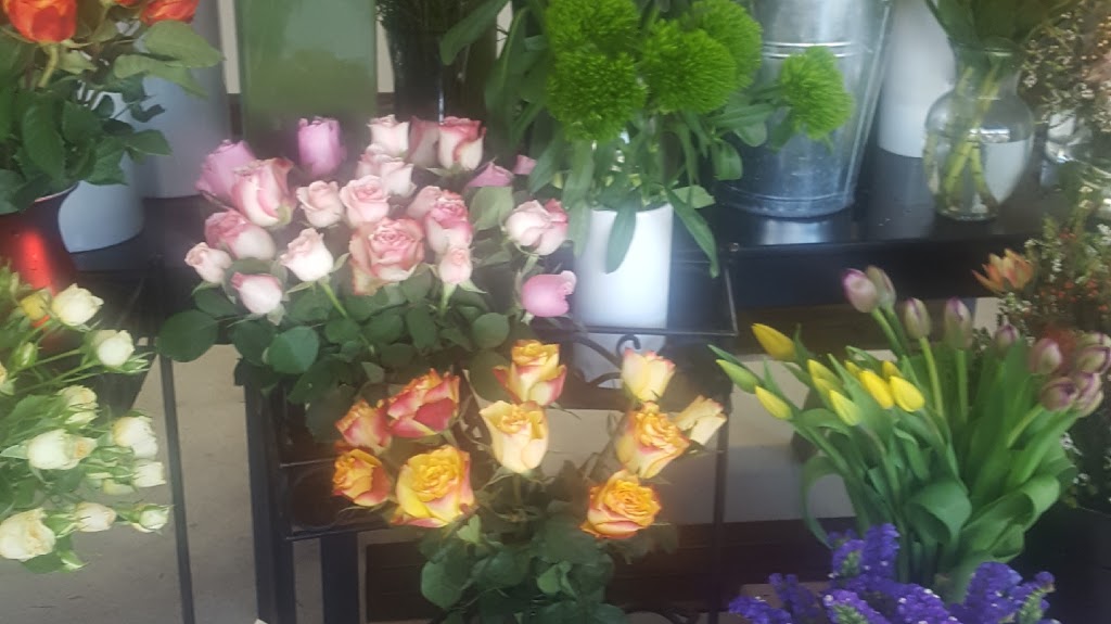 Katoomba Florist (Shop/7 Pioneer Pl) Opening Hours