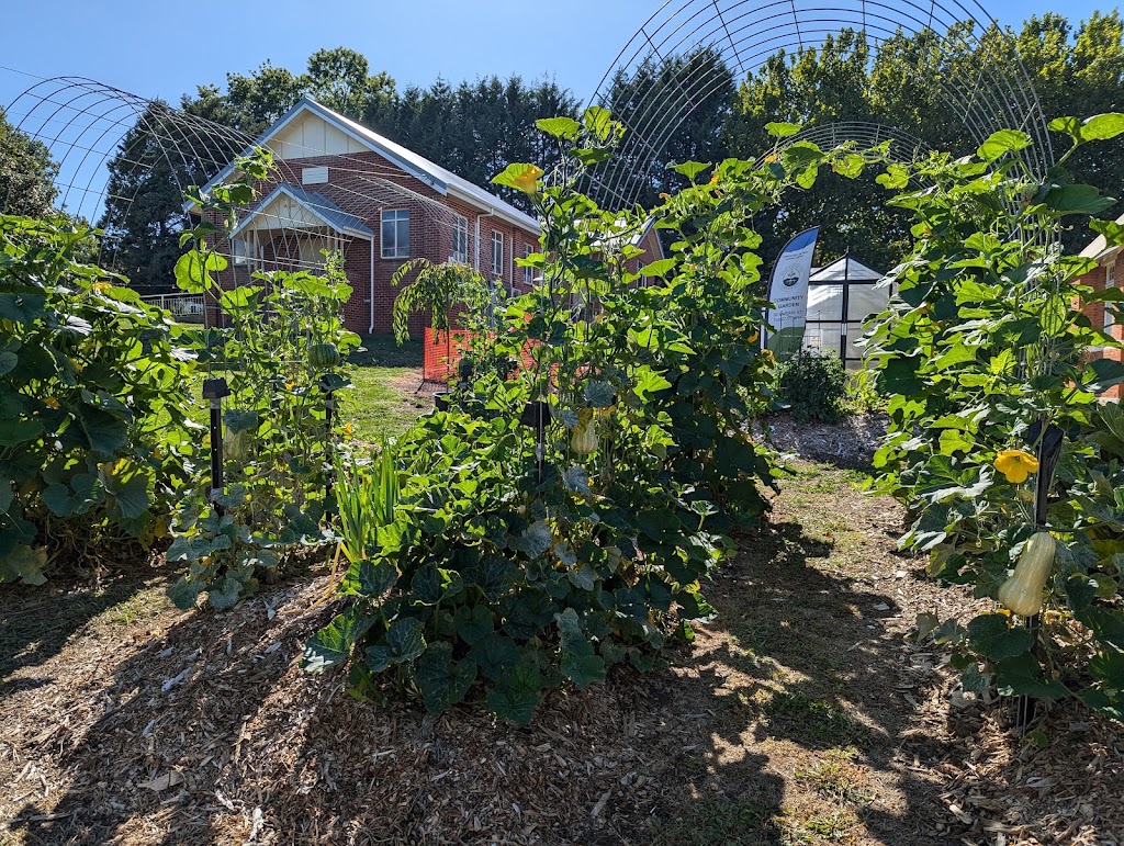 Harvest Haven Community Garden | 58 Murray St, Tumbarumba NSW 2653, Australia | Phone: 0429 654 734