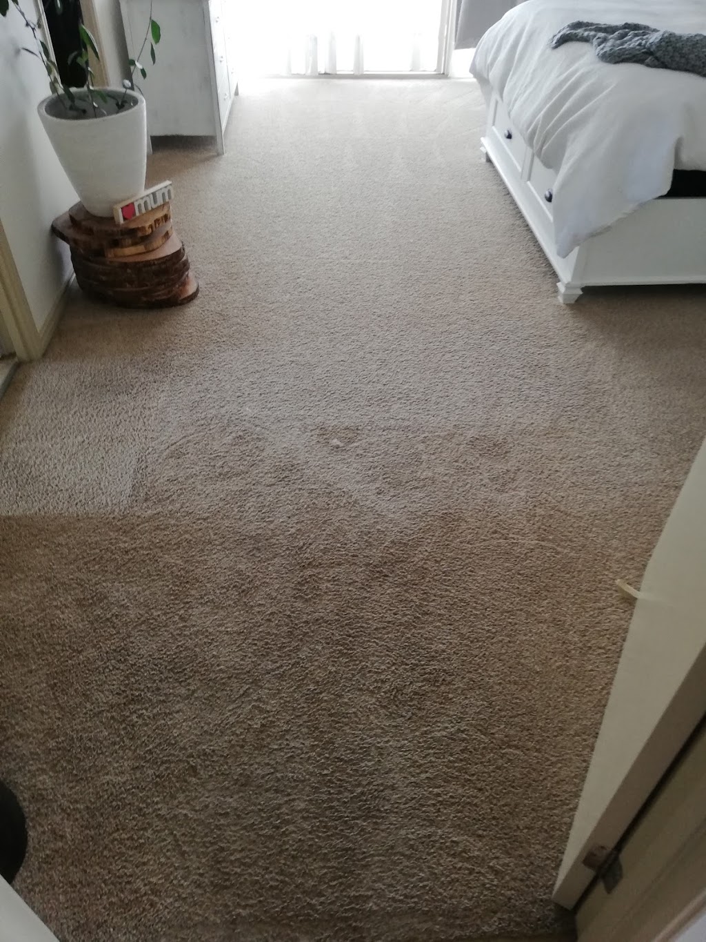 AJ Carpet Cleaning | 16 Tallowood Pl, Jimboomba QLD 4280, Australia | Phone: 0430 553 467