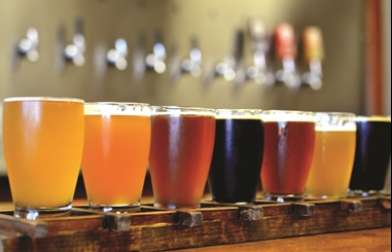 Shedshaker Brewing Company | 9 Walker St, Castlemaine VIC 3450, Australia | Phone: 0425 323 005