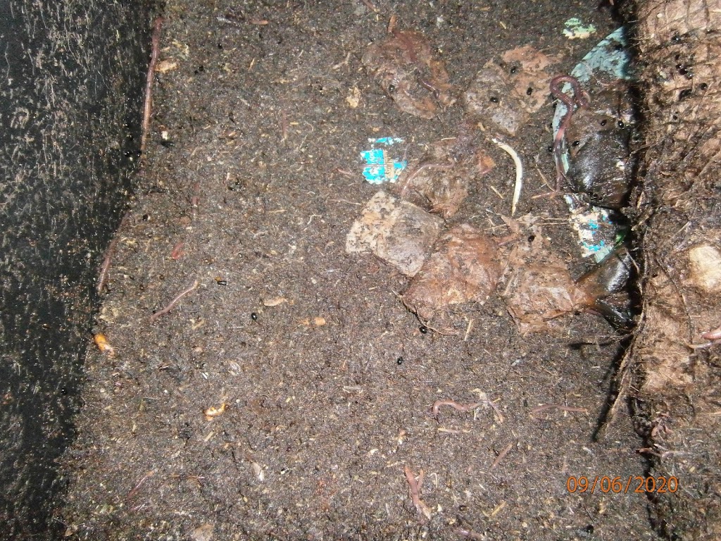 Rosemeadow Worm Farming | 5 Fitzgibbon Ln, Rosemeadow NSW 2560, Australia | Phone: (02) 9057 6479