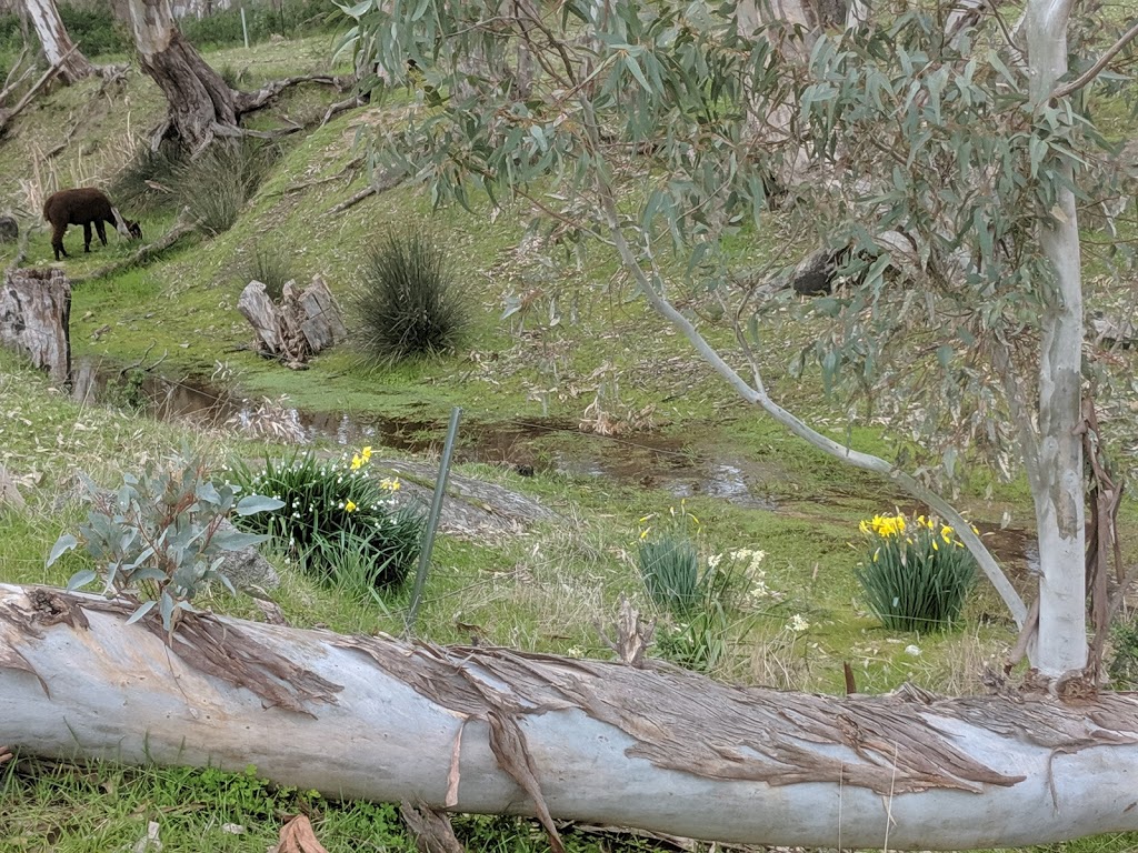 Harcourt Swimming Pool |  | 6 Bridge St, Harcourt VIC 3453, Australia | 0354742484 OR +61 3 5474 2484