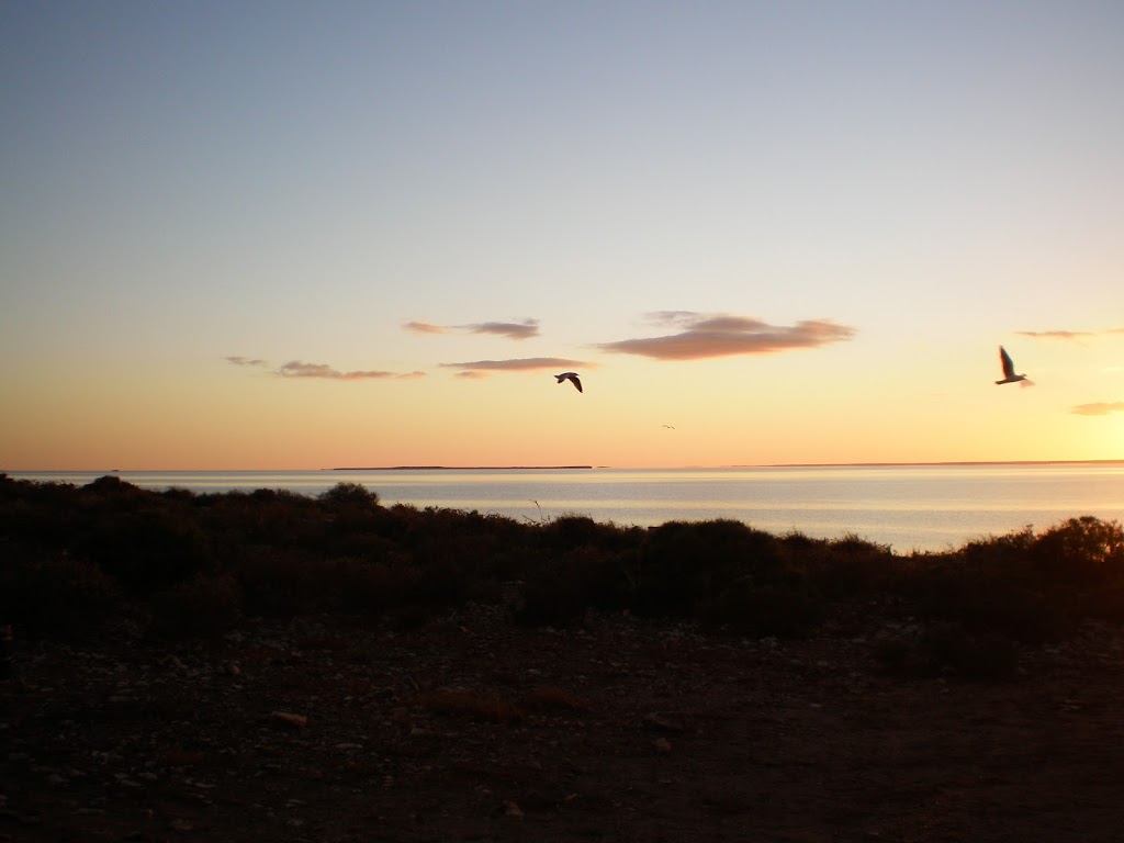 Tamala Station | Tamala Road, Shark Bay WA 6537, Australia | Phone: (08) 9948 3994