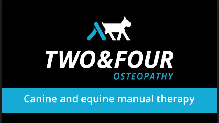 Two and Four Osteopathy | health | 105 Cherylnne Cres, Kilsyth VIC 3137, Australia | 0421041524 OR +61 421 041 524