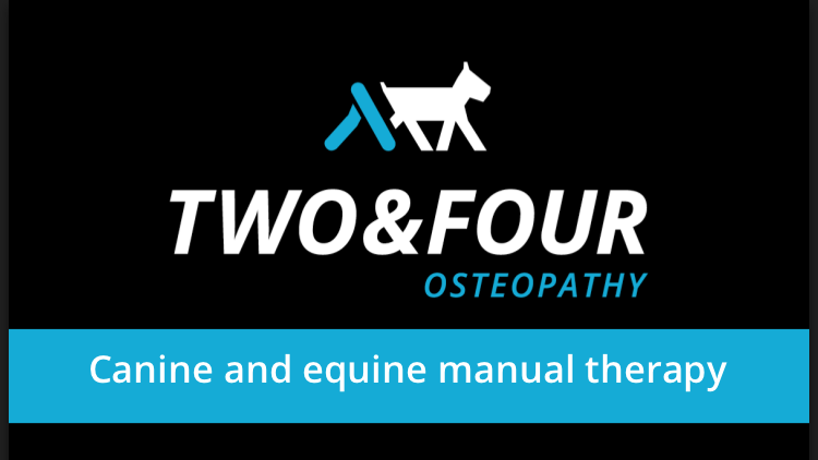 Two and Four Osteopathy | 105 Cherylnne Cres, Kilsyth VIC 3137, Australia | Phone: 0421 041 524