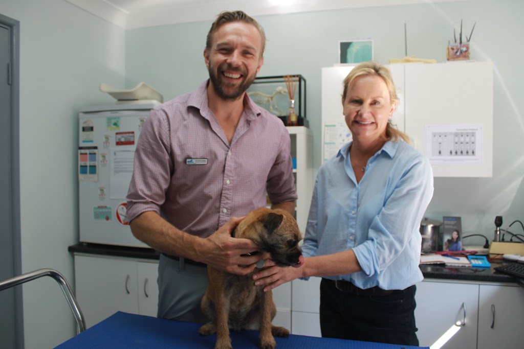 Avalon Veterinary Hospital | veterinary care | 710 Barrenjoey Rd, Avalon Beach NSW 2107, Australia | 0299180833 OR +61 2 9918 0833