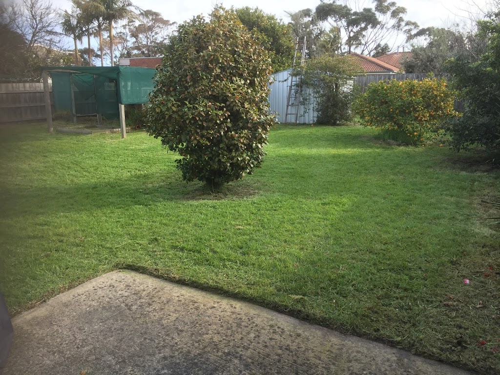 Top Cut Lawnmowing Rowville | 45 Bexsarm Cres, Rowville VIC 3178, Australia | Phone: 0456 082 050