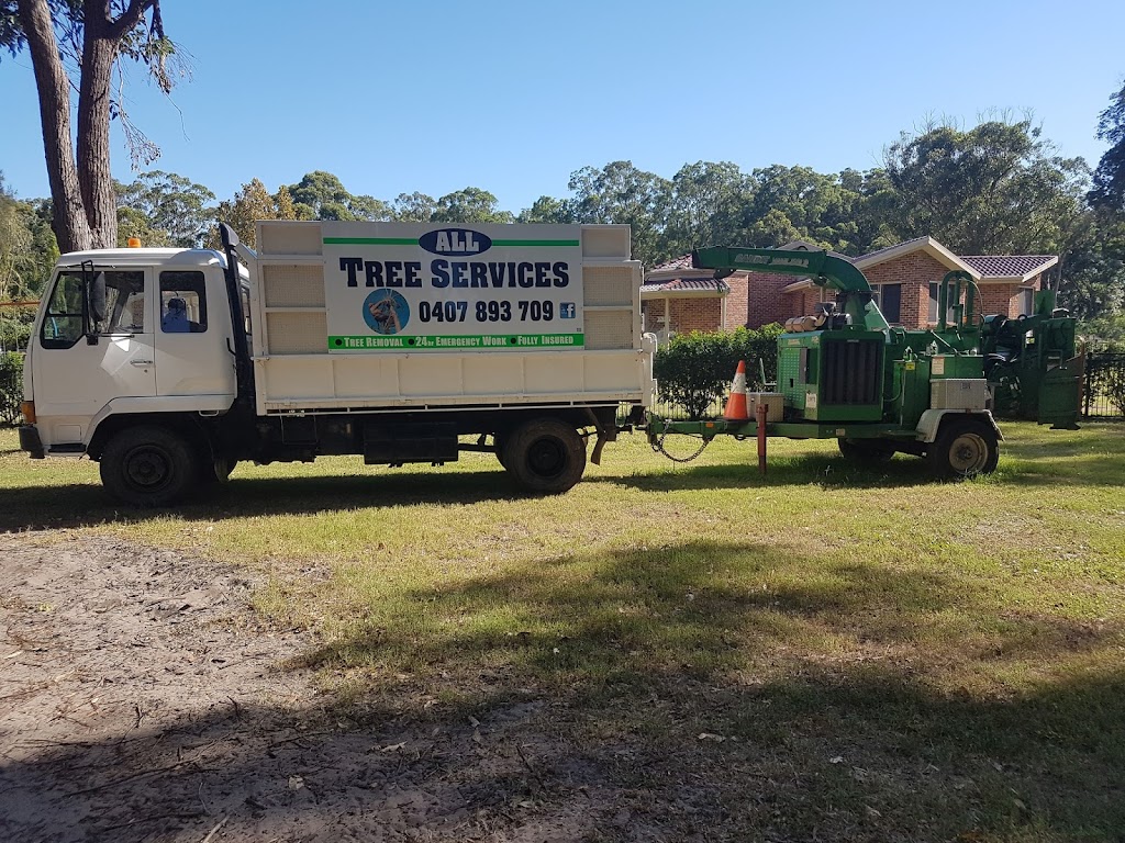All Tree Services & Stump Grinding | 79 Morna Point Rd, Anna Bay NSW 2316, Australia | Phone: 0407 893 709