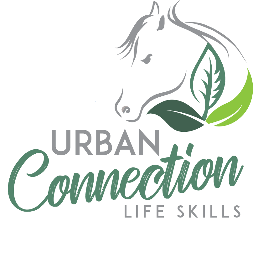 Urban Connection Life Skills |  | 204 Six Mile Rd, Eagleton NSW 2324, Australia | 0424410780 OR +61 424 410 780