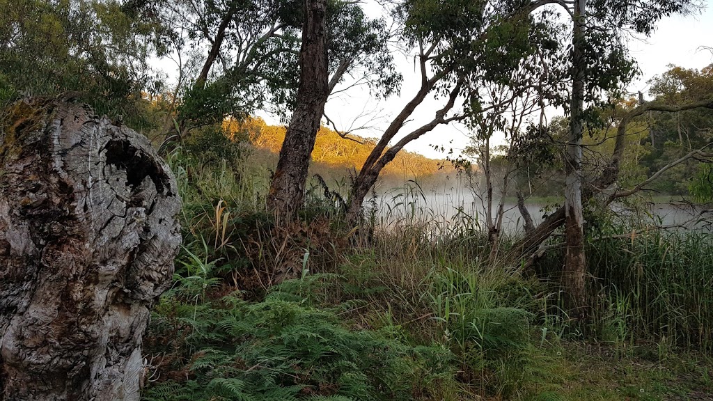 Sapling Creek Launch | campground | River Rd, Nelson VIC 3292, Australia