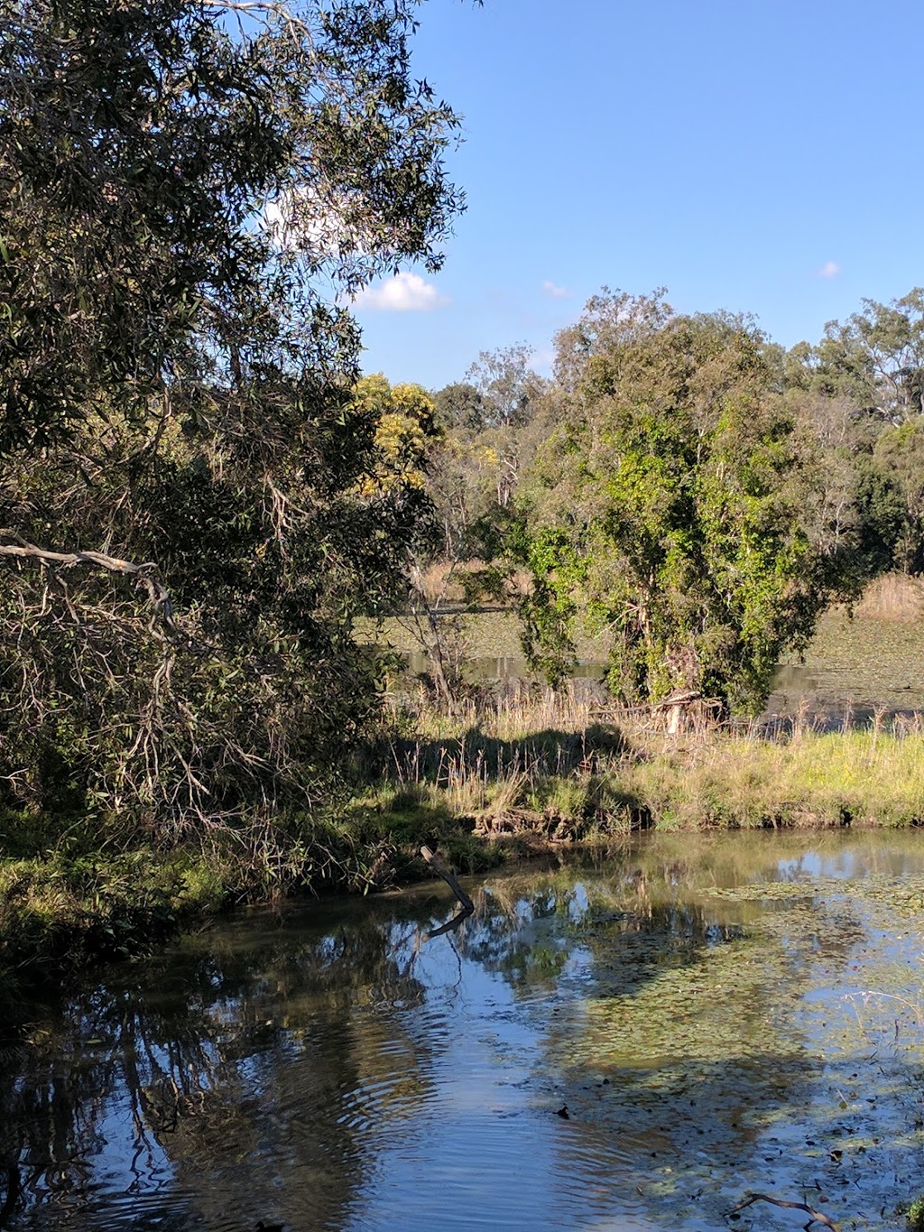 Berrinba Wetlands | park | Wayne Goss Dr, Browns Plains QLD 4118, Australia