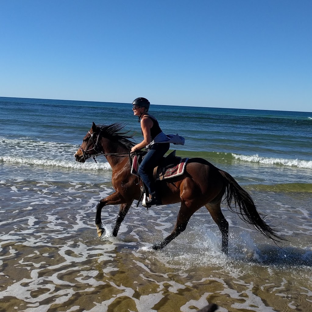 Noosa Horses | travel agency | Esplanade, Noosa North Shore QLD 4565, Australia | 0437916928 OR +61 437 916 928