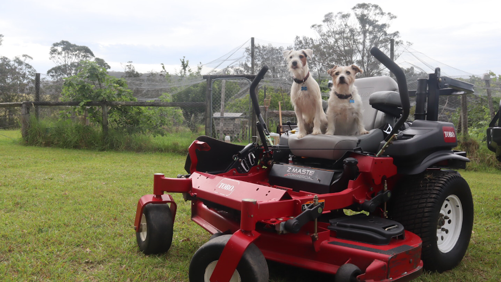 Tuross Lawn & Garden Care | Coila NSW 2537, Australia | Phone: 0477 256 645